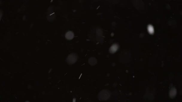 Hermosa nieve real cayendo aislada sobre fondo negro en 8K, ProRes 422, sin clasificar. Grabado en un teleobjetivo con bokeh perfecto, imágenes para componer, gráficos en movimiento — Vídeo de stock