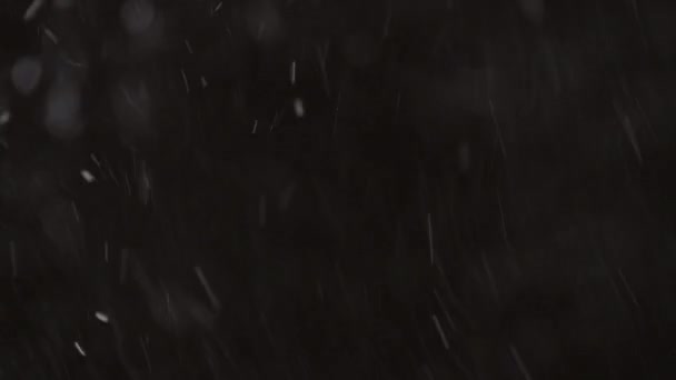 Gyönyörű Valódi lehulló hó elszigetelt fekete háttérrel 8K, ProRes 422, osztályozatlan. Fényképezte egy teleobjektíven tökéletes bokeh, felvétel zeneszerzés, mozgás grafika — Stock videók