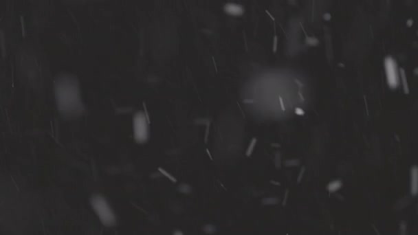 Piękny Prawdziwy spadający śnieg odizolowany na czarnym tle w 8K, ProRes 422, niesklasyfikowany C-LOG 10 bit. Zdjęcia na teleobiektywie z perfekcyjnym bokeh, materiał do komponowania, grafika ruchowa — Wideo stockowe