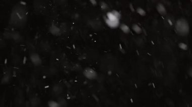 Güzel Real yağan kar, 8K 'da siyah zemin üzerinde izole, ProRes 422, derecelendirilmemiş. Mükemmel bokeh 'li bir telefoto lensi, besteleme görüntüleri, hareketli grafikler.