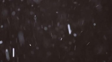 Güzel Real yağan kar 8K, ProRes 422, derecelendirilmemiş C-LOG 10 bit siyah zemin üzerinde izole. Mükemmel bokeh 'li bir telefoto lensi, besteleme görüntüleri, hareketli grafikler.