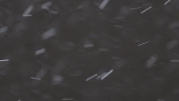 Schöner Echt fallender Schnee isoliert auf schwarzem Hintergrund in 8K, ProRes 422, ungraded C-LOG 10 bit. Aufgenommen auf einem Teleobjektiv mit perfektem Bokeh, Filmmaterial zum Komponieren, Motion Graphics — Stockvideo