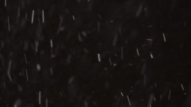 Güzel Real yağan kar, 8K 'da siyah zemin üzerinde izole, ProRes 422, derecelendirilmemiş. Mükemmel bokeh 'li bir telefoto lensi, besteleme görüntüleri, hareketli grafikler.