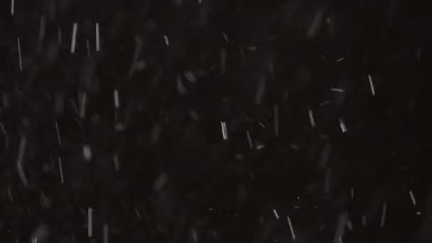 Hermosa nieve real cayendo aislada sobre fondo negro en 8K, ProRes 422, sin clasificar. Grabado en un teleobjetivo con bokeh perfecto, imágenes para componer, gráficos en movimiento — Vídeos de Stock