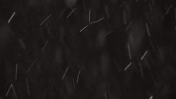 Hermosa nieve real cayendo aislada sobre fondo negro en 8K, ProRes 422, sin clasificar. Grabado en un teleobjetivo con bokeh perfecto, imágenes para componer, gráficos en movimiento — Vídeo de stock