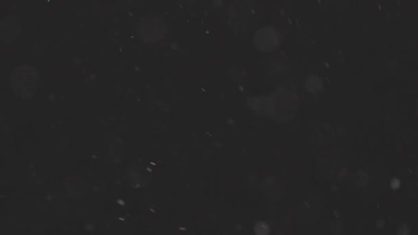 Gyönyörű Valódi lehulló hó elszigetelt fekete háttérrel 4K lassított felvételen, ProRes 422, osztályozatlan C-LOG 10 bit. Fényképezte egy teleobjektíven tökéletes bokeh, felvétel zeneszerzés, mozgás grafika — Stock videók