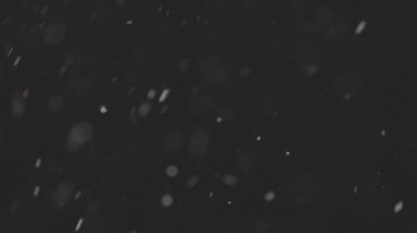 4K yavaş çekimde siyah zeminde izole edilmiş gerçek kar, ProRes 422, derecelendirilmemiş C-LOG 10 bit. Mükemmel bokeh 'li bir telefoto lensi, besteleme görüntüleri, hareketli grafikler.