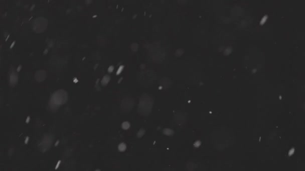 Hermosa nieve real cayendo aislado sobre fondo negro en 4K cámara lenta, ProRes 422, sin clasificar C-LOG 10 bit. Grabado en un teleobjetivo con bokeh perfecto, imágenes para componer, gráficos en movimiento — Vídeo de stock