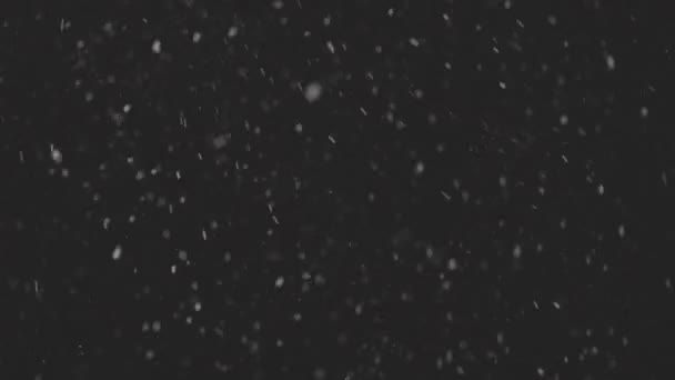 Beautiful Real falling snow isolated on black background in 4K slow motion, ProRes 422, ungraded C-LOG 10 bit., shot on 50 mm lens. Ungraded footage for composing, motion graphics — Stock Video