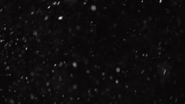 Beautiful Real falling snow isolated on black background in 4K slow motion, Shot on a telephoto lens with perfect bokeh. Ungraded footage for composing, motion graphics, Large and small snow — Stock Video
