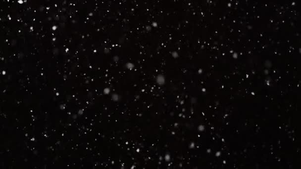 Güzel, düşen kar, siyah arka planda 4K yavaş çekimde izole edilmiş, 50 mm lensle çekilmiş. Besteleme için derecelendirilmemiş görüntüler, hareket grafikleri, büyük ve küçük kar taneleri, ıssız düşen kar taneleri — Stok video