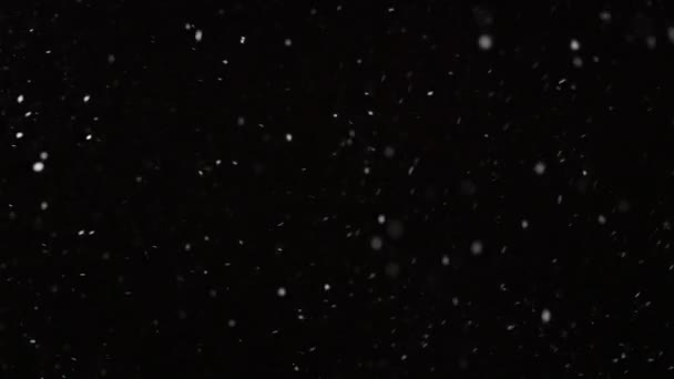 Реальный падающий снег изолирован на черном фоне в замедленной съемке в 4К, снятой на 50-миллиметровые линзы. Неградуированные кадры для композиции, графика движения, Большие и маленькие снежинки, Изолированный падающий снег — стоковое видео