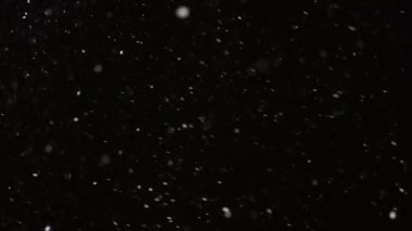Güzel, düşen kar, siyah arka planda 4K yavaş çekimde izole edilmiş, 50 mm lensle çekilmiş. Besteleme için derecelendirilmemiş görüntüler, hareket grafikleri, büyük ve küçük kar taneleri, ıssız düşen kar taneleri
