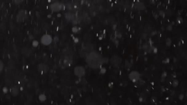 Bella neve reale caduta isolato su sfondo nero in 4K rallentatore, Girato su un teleobiettivo con bokeh perfetto. Filmati non graduali per comporre, motion graphics, neve grande e piccola — Video Stock