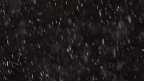 Schöner echter fallender Schnee isoliert auf schwarzem Hintergrund in 4K Zeitlupe, aufgenommen auf einem Teleobjektiv mit perfektem Bokeh. Unbenotetes Filmmaterial zum Komponieren, Motion Graphics, Großer und Kleiner Schnee — Stockvideo