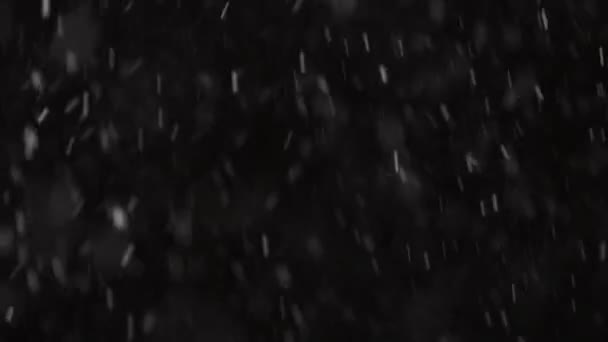 Krásný Real padající sníh izolované na černém pozadí ve 4K zpomalení, Shot na teleobjektiv s dokonalým bokeh. Neklasifikované záběry pro skládání, pohybovou grafiku, Velký a malý sníh — Stock video