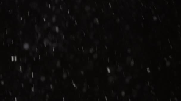 Piękny Prawdziwy spadający śnieg odizolowany na czarnym tle w zwolnionym tempie 4K, nakręcony na teleobiektywie z doskonałym bokeh. Ungraded materiał do komponowania, grafika ruchu, Duży i mały śnieg — Wideo stockowe