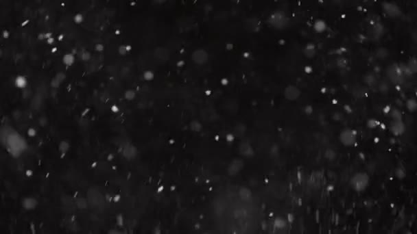 4Kスローモーションで黒い背景に孤立した美しい本物の落下雪,完璧なボケと望遠レンズで撮影.作曲、映画グラフィック、大小の雪のための未評価の映像 — ストック動画
