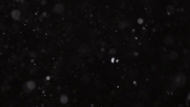 Hermosa nieve real cayendo aislado sobre fondo negro en 4K cámara lenta, Disparo en una lente de teleobjetivo con bokeh perfecto. Imágenes sin clasificar para componer, gráficos en movimiento, nieve grande y pequeña — Vídeos de Stock