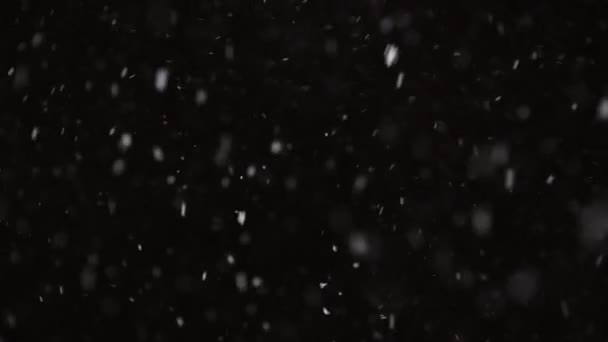 Piękny Prawdziwy spadający śnieg odizolowany na czarnym tle w zwolnionym tempie 4K, nakręcony na teleobiektywie z doskonałym bokeh. Ungraded materiał do komponowania, grafika ruchu, Duży i mały śnieg — Wideo stockowe