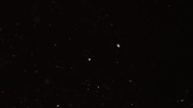 Güzel, düşen kar, siyah arka planda 4K yavaş çekimde izole edilmiş, 50 mm lensle çekilmiş. Besteleme için derecelendirilmemiş görüntüler, hareket grafikleri, büyük ve küçük kar taneleri, ıssız düşen kar taneleri