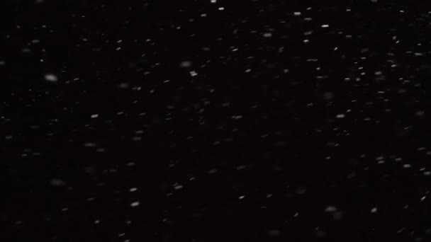 美丽的真正降雪隔离在黑色背景下，4K慢动作，50毫米镜头拍摄。未分级的作曲镜头,运动图形,大小雪片,孤立的降雪 — 图库视频影像