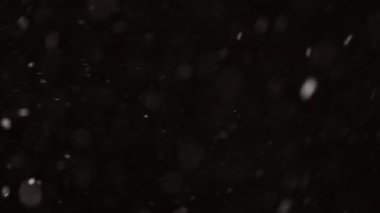 4K 'de siyah arka planda izole edilmiş düşen güzel gerçek kar mükemmel bir bokeh ile telefoto lensi ile çekildi. Besteleme için derecelendirilmemiş görüntüler, hareket grafikleri, büyük ve küçük kar taneleri, izole edilmiş