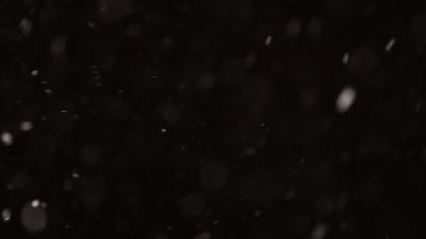 Krásný Real padající sníh izolované na černém pozadí v 4K, Shot na teleobjektiv s dokonalým bokeh. Neklasifikované záběry pro skládání, pohybová grafika, Velké a malé sněhové vločky, Izolované — Stock video
