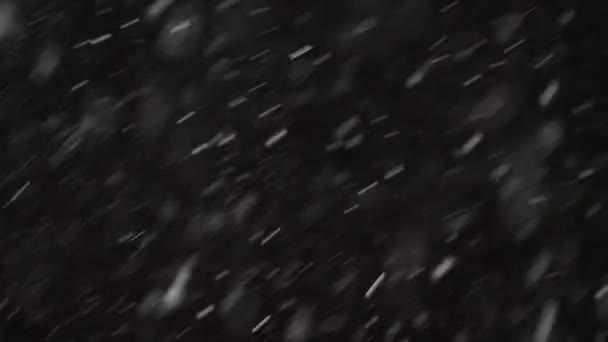 Bonita neve real caindo isolado em fundo preto em 4K, tiro em uma lente telefoto com bokeh perfeito. Imagens não graduadas para compor, gráficos de movimento, flocos de neve grandes e pequenos, isolados — Vídeo de Stock