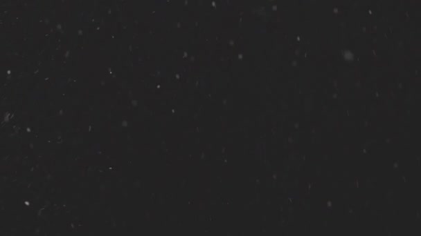 Belle vraie neige tombante isolée sur fond noir au ralenti 4K, ProRes 422, C-LOG 10 bits non dégradé, prise de vue sur objectif 50 mm. Images non classées pour la composition, graphiques de mouvement — Video