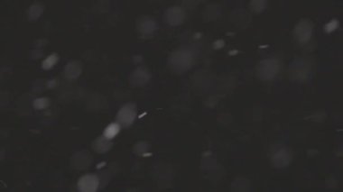 4K, ProRes 422, derecelendirilmemiş C-LOG 10 bit siyah zemin üzerinde izole edilmiş güzel Real gerçek kar. Mükemmel bokeh 'li bir telefoto lensi, besteleme görüntüleri, hareketli grafikler.