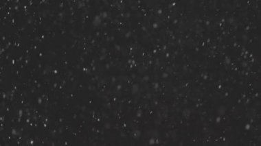 4K, ProRes 422, notlandırılmamış C-LOG 10 bit, siyah zemin üzerinde izole edilmiş gerçek kar 50 mm lens ile çekildi. Besteleme ve hareket grafikleri için derecelendirilmemiş görüntüler
