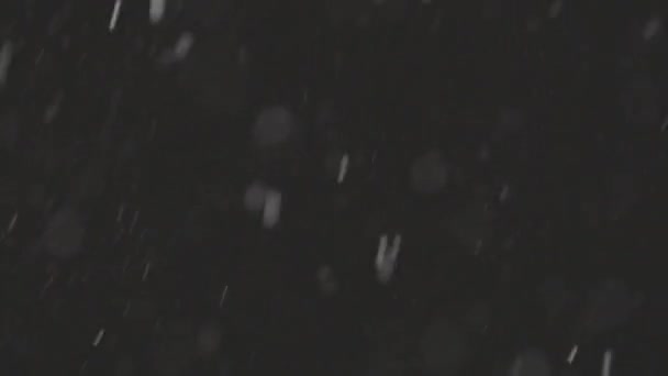 Bella neve reale caduta isolato su sfondo nero in 4K, ProRes 422, non classificato C-LOG 10 bit. Girato su un teleobiettivo con bokeh perfetto, riprese per comporre, motion graphics — Video Stock