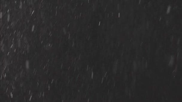 Belle vraie neige tombante isolée sur fond noir au ralenti 4K, ProRes 422, C-LOG 10 bits non dégradé, prise de vue sur objectif 50 mm. Images non classées pour la composition, graphiques de mouvement — Video