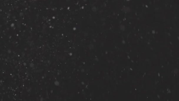 Krásný Real padající sníh izolovaný na černém pozadí ve 4K zpomaleném filmu, ProRes 422, neregistrovaný C-LOG 10 bit., výstřel na 50 mm objektivu. Neklasifikované záběry pro skládání, pohybová grafika — Stock video