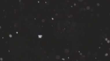 4K yavaş çekimde siyah zeminde izole edilmiş gerçek kar, ProRes 422, derecelendirilmemiş C-LOG 10 bit. Mükemmel bokeh 'li bir telefoto lensi, besteleme görüntüleri, hareketli grafikler.