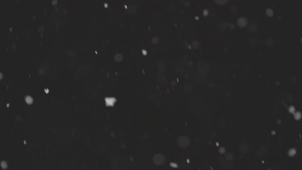 Beautiful Real falling snow isolated on black background in 4K slow motion, ProRes 422, ungraded C-LOG 10 bit. Shot on a telephoto lens with perfect bokeh, footage for composing, motion graphics — Stock Video