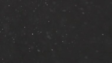 4K yavaş çekimde siyah zeminde izole edilmiş gerçek kar, ProRes 422, derecelendirilmemiş C-LOG 10 bit. Mükemmel bokeh 'li bir telefoto lensi, besteleme görüntüleri, hareketli grafikler.