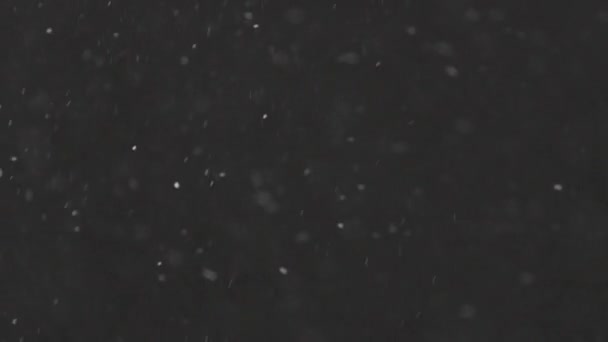 Hermosa nieve real cayendo aislado sobre fondo negro en 4K cámara lenta, ProRes 422, sin clasificar C-LOG 10 bit. Grabado en un teleobjetivo con bokeh perfecto, imágenes para componer, gráficos en movimiento — Vídeos de Stock