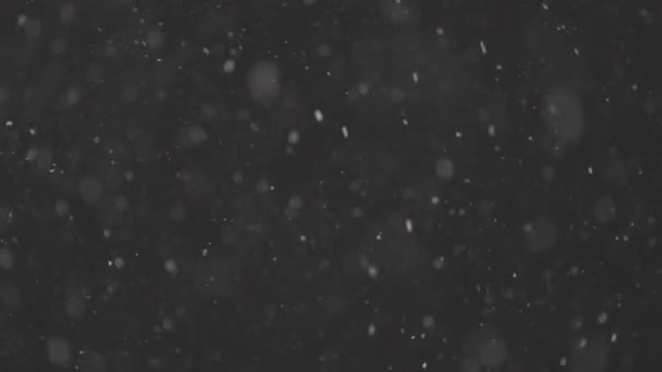 Schöner Echt fallender Schnee isoliert auf schwarzem Hintergrund in 4K Zeitlupe, ProRes 422, ungraded C-LOG 10 bit. Aufgenommen auf einem Teleobjektiv mit perfektem Bokeh, Filmmaterial zum Komponieren, Motion Graphics — Stockvideo