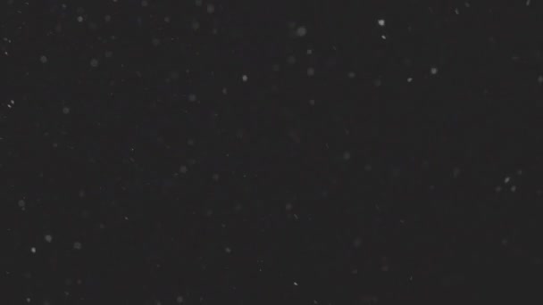 Beautiful Real falling snow isolated on black background in 4K slow motion, ProRes 422, ungraded C-LOG 10 bit., shot on 50 mm lens. Ungraded footage for composing, motion graphics — Stock Video