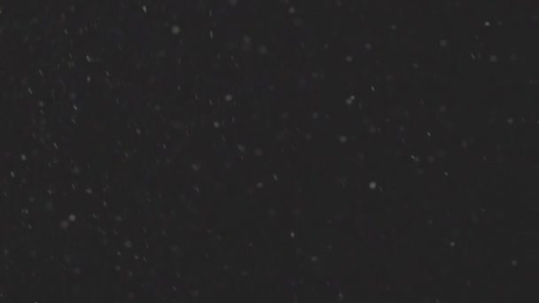 Belle vraie neige tombante isolée sur fond noir au ralenti 4K, ProRes 422, C-LOG 10 bits non dégradé, prise de vue sur objectif 50 mm. Images non classées pour la composition, graphiques de mouvement — Video