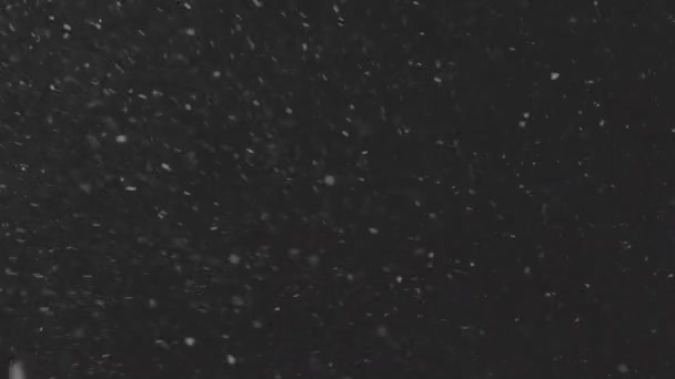Gyönyörű Valódi lehulló hó elszigetelt fekete háttérrel 4K lassított felvételen, ProRes 422, osztályozatlan C-LOG 10 bit., 50 mm-es lencsével. Nem minősített felvétel zeneszerzéshez, mozgóképhez — Stock videók
