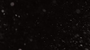 Güzel, düşen kar, siyah arka planda 4K yavaş çekimde izole edilmiş, 50 mm lensle çekilmiş. Besteleme için derecelendirilmemiş görüntüler, hareket grafikleri, büyük ve küçük kar taneleri, ıssız düşen kar taneleri