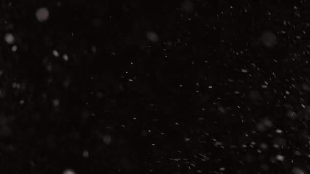 Piękny Prawdziwy spadający śnieg odizolowany na czarnym tle w zwolnionym tempie 4K, nakręcony na obiektywie 50 mm. Nieklasyfikowany materiał do komponowania, grafika ruchoma, duże i małe płatki śniegu, odizolowany padający śnieg — Wideo stockowe