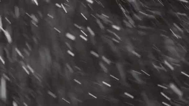 Gyönyörű Valódi lehulló hó elszigetelt fekete háttér 4K, lövés egy teleobjektíven tökéletes bokeh. Minősítetlen felvétel zeneszerzéshez, mozgóképekhez, Nagy és kis hópehely, Izolált — Stock videók