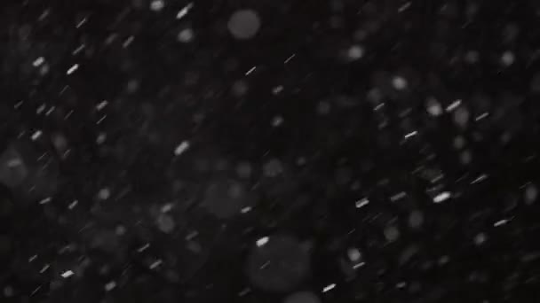 Hermosa nieve real cayendo aislado sobre fondo negro en 4K cámara lenta, Disparo en una lente de teleobjetivo con bokeh perfecto. Imágenes sin clasificar para componer, gráficos en movimiento, nieve grande y pequeña — Vídeos de Stock