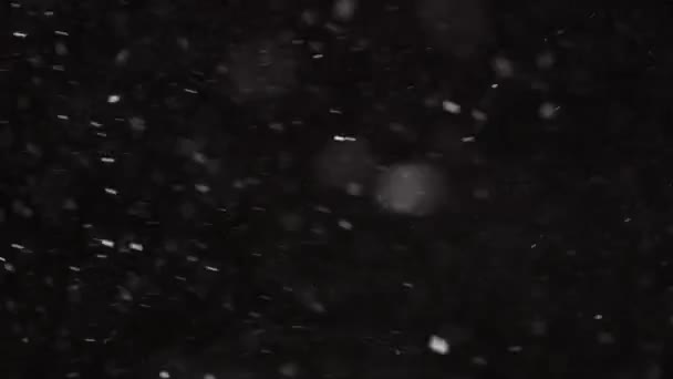 Belle vraie neige tombante isolée sur fond noir au ralenti 4K, prise de vue sur un téléobjectif avec bokeh parfait. Images non classées pour la composition, les graphismes animés, les petites et grandes neiges — Video