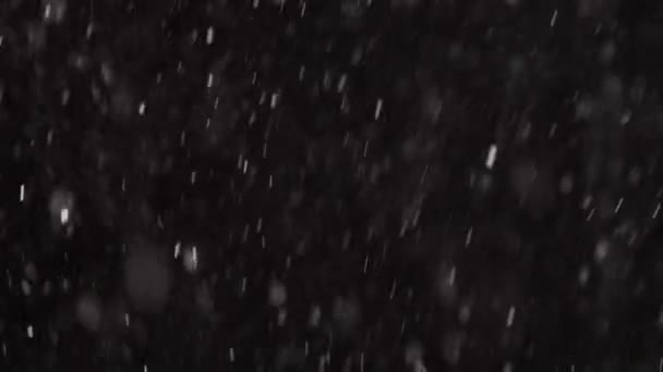 Schöner echter fallender Schnee isoliert auf schwarzem Hintergrund in 4K Zeitlupe, aufgenommen auf einem Teleobjektiv mit perfektem Bokeh. Unbenotetes Filmmaterial zum Komponieren, Motion Graphics, Großer und Kleiner Schnee — Stockvideo