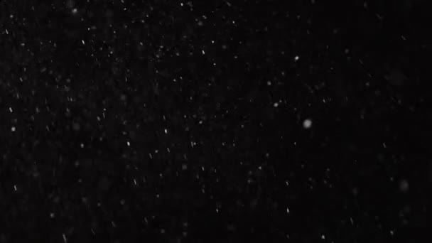 Hermosa nieve real cayendo aislada sobre fondo negro en cámara lenta 4K, disparada en lente de 50 mm. Imágenes sin clasificar para componer, gráficos en movimiento, copos de nieve grandes y pequeños, nieve que cae aislada — Vídeos de Stock
